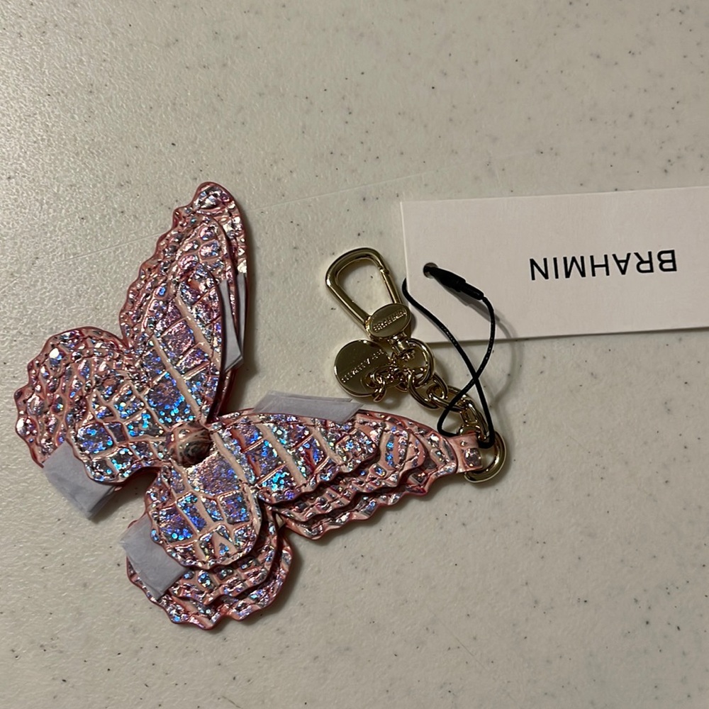 Brahmin Butterfly